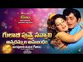 Gulabi Puvvai Navvaali | EDM Remix | 1975 | Chakravarthy | C. Narayana Reddy | Balu, Susheela