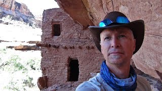 Grand Gulch  Bullet Canyon to Collins Springs, Cedar Mesa Plateau, Utah