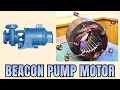 Complete Rewinding of Beacon make 7.5 HP 2800 RPM 2 Pole Pump Motor | 3 Phase Motor Winding