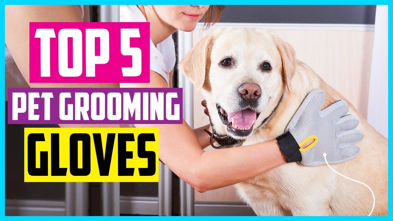 Top 5 Best Pet Grooming Gloves Reviews & Guide In 2024 YouTube