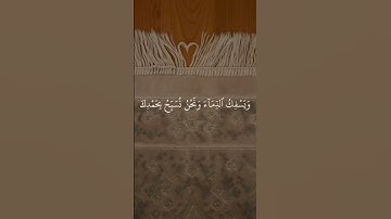 سوره البقره من الآية ٢٩ الي الاية ٣٧ للشيخ مشاري العفاسي❤️