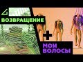 AContrari ВЕРНУЛСЯ + БОНУС (МОИ ВОЛОСЫ)