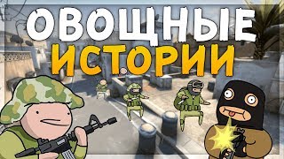 ОВОЩНЫЕ ИСТОРИИ (CS:GO)