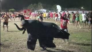 DRESS REHEARSAL OF THE BUMBA-MEU-BOI KING OF THE CATTLE 2025 AT THE BOTAFOGO FIELD IN THE CATANDU...