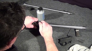 RUGER 10 22 Project 01