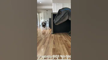 Dog Meets A Dinosaur While Eating Treats Shorts 