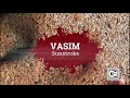 Vasim - Sunstroke (2012) Full Album