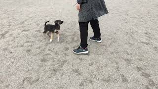 Sandy on April 24, 2017 at 10:18