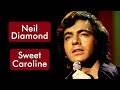 Neil diamond  sweet caroline   msica com traduo livre