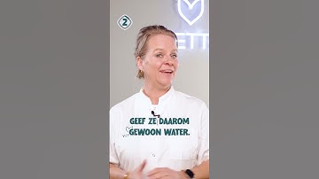 3 mythen over de kat die niet kloppen!