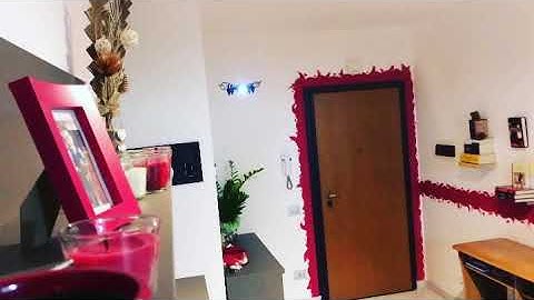 Hasakee Q6 mini drone test with Bad Religion "Do what you want"