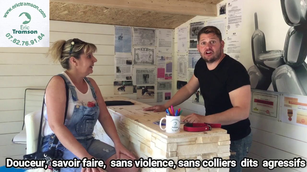 EDUCATION DOG ARGENTIN AVEC CANE CORSO/ERIC TRAMSON - YouTube