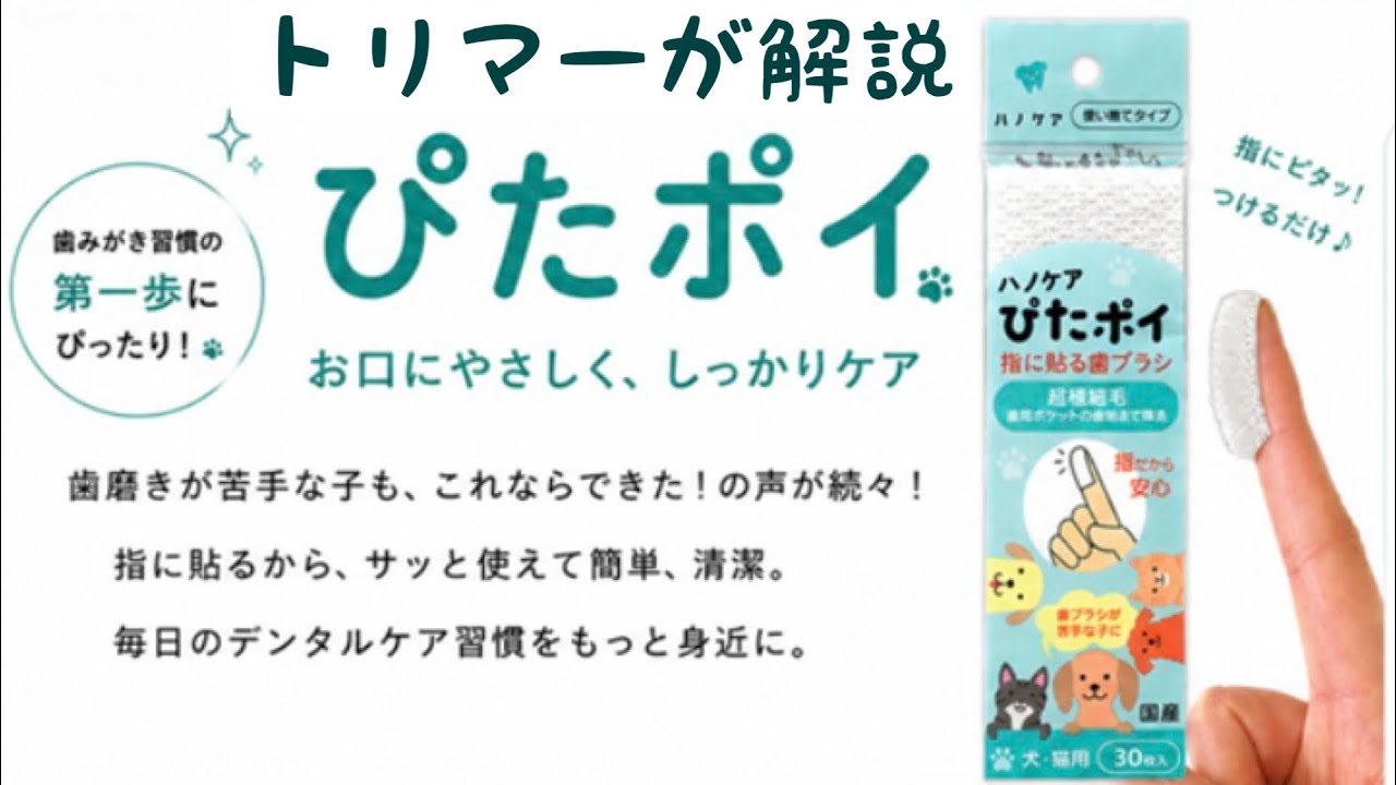 指に貼る犬用歯ブラシ「ハノケアぴたポイ」とは？特徴・使い方・注意点