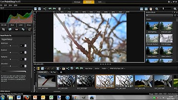 Corel PaintShop Pro x5 First Look