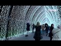 Experience the charm of TOPREX decorative lights.———TOPREX LED Cherry blossom string lights