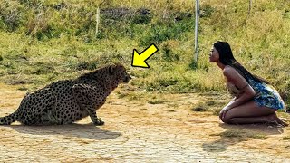 She Decided to Help the Sick CHEETAH, Just Watch What Happens Next!