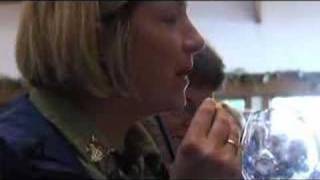 StatesmanJournal.com: Wine Tour: Willamette Valley Vineyards