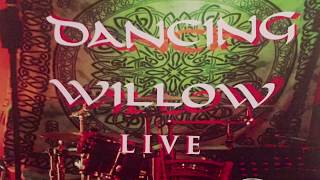 Dancing Willow Trailer