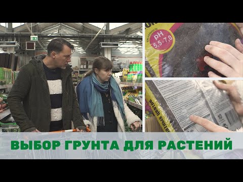 Советы по выбору грунта для растений