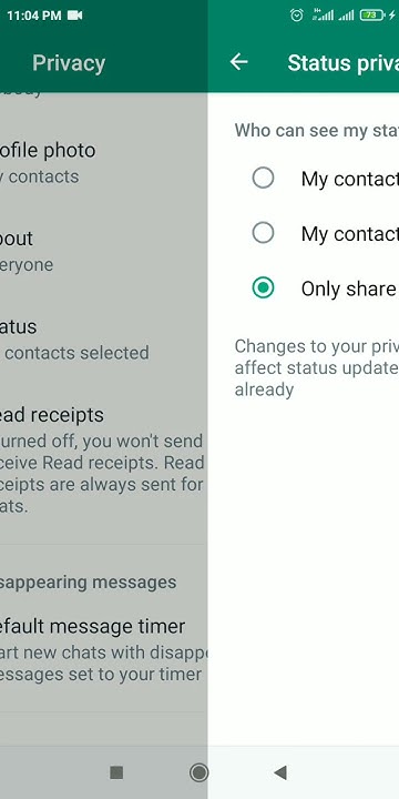 Whatsapp Status Privacy Settings In Redmi By Xiaomi Who Can See My 110-short-hindi-sentences