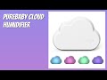 REVIEW (2026): PureBaby Cloud Humidifier. Features