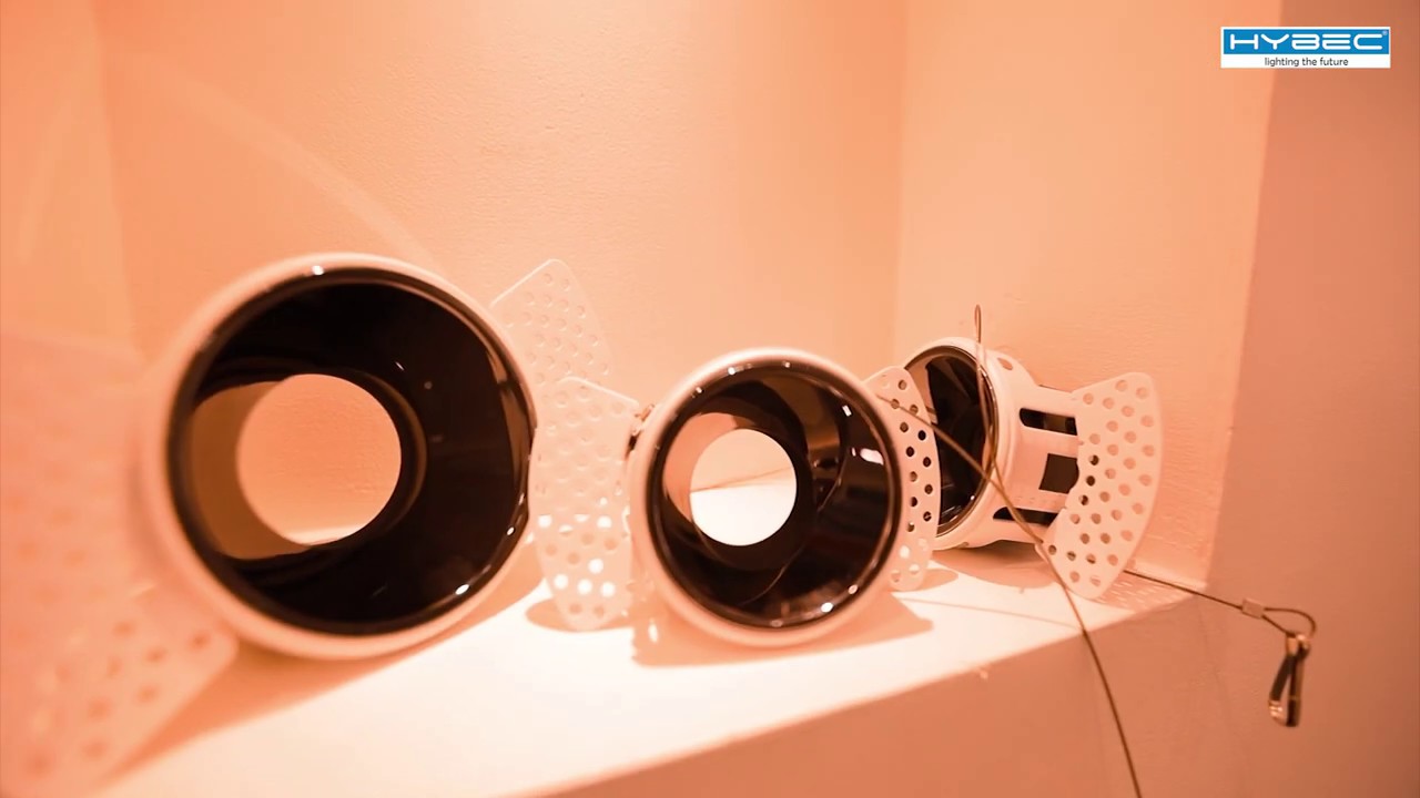 Flying Frog World | HYBEC | Lighting the Future