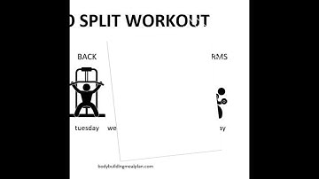 The Bro Split: Is it Effective for Building Muscle? | Fitness Myth Busted