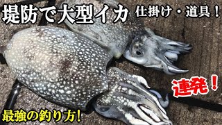 堤防からエギに天秤つけて投げたら春のイカが連発 最強のイカ釣り仕掛けが凄すぎた 簡単仕掛けでシリヤケイカ釣り 東扇島西公園 魚釣り系you Tuberまとめサイト Fishing