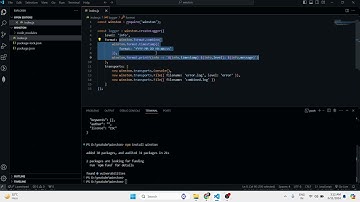 Master Logging in Node.js with Winston