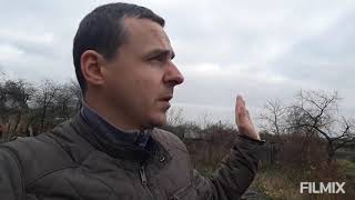 Приживутся ли пчелы на участке с ЛЭП?