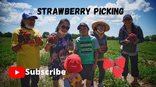 Strawberry picking | colonel danforth park by Food Rush Delivery 106 views 3 years ago 6 minutes, 55 seconds