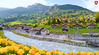 Spring Moments in Grindelwald Switzerland 🇨🇭 | #swiss #swissview