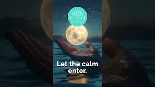 🌙 Sleep Fast Tonight with This Zen Music (10 Hours No Ads) | Galo Studio Zen