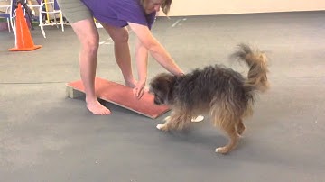 2o2o Contacts Using a 3x1 Board