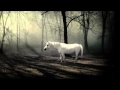 Stimming - The Unicorn