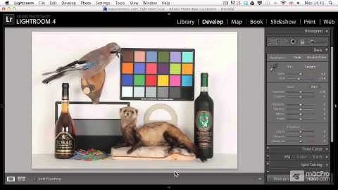 Lightroom 4 102: Editing Your Photos - 15. Using Color Checkers