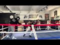 STEELEBOXER GYM ONLINE BOXING/KICKBOXING TRAINING PROGRAM www.steeleboxer.com