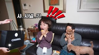 500만원짜리 부모님 몰카 ㅋㅋㅋㅋㅋ반응 역대급이다 [박담채]