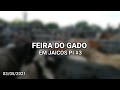 FEIRA DO GADO EM JAÍCOS PI #3 (03/05/2021) REALIZADAS TODAS SEGUNDAS-FEIRAS !