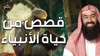 صورة حية