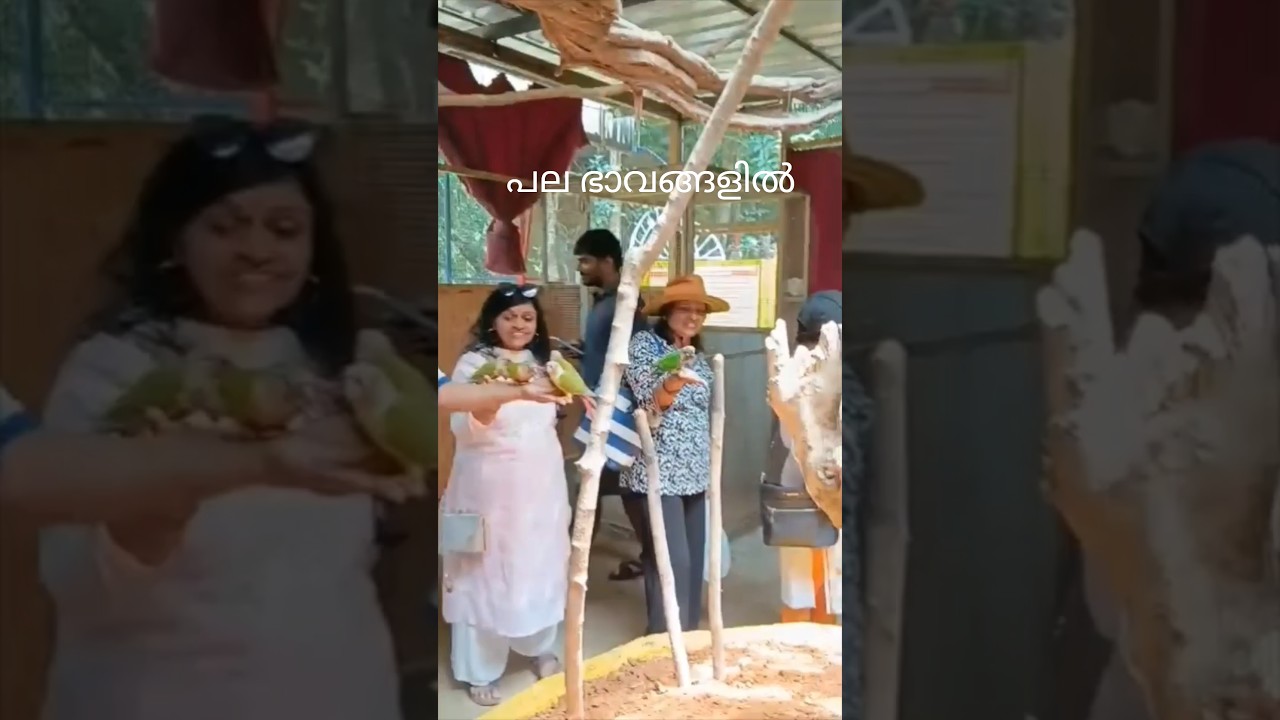 പല ആൾക്കാർ പല ഭാവങ്ങൾ...#family #wayanad
