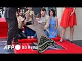 英俳優ユアン マクレガー ハリウッドの殿堂入り 2024年9月撮影 