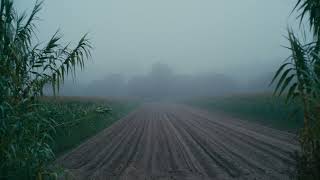 Sigma Fp - Color Grading Cinema Dng Raw Uhd 12 Bits