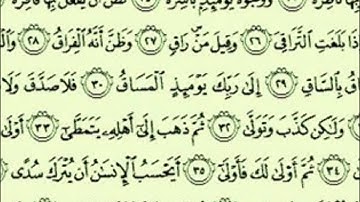 سورة القيامة بصوت القارئ عبدالله البريمي