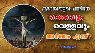 തിരുവിലാവിലെ രക്തവും വെള്ളവും - അർത്ഥം എന്ത്? || Water and Blood from Jesus Heart || FAITH TIPS -44