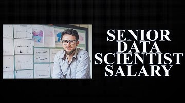 Senior Data Scientist Salary 2022 | South Africa