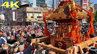 4K Akabane Baka Matsuri 2024 赤羽馬鹿祭り 神輿 日本の祭り