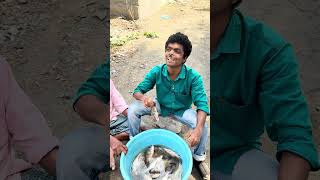 மீனு துள்ளுதா 😂 #panamatta #comedy #reels #tamil #funny