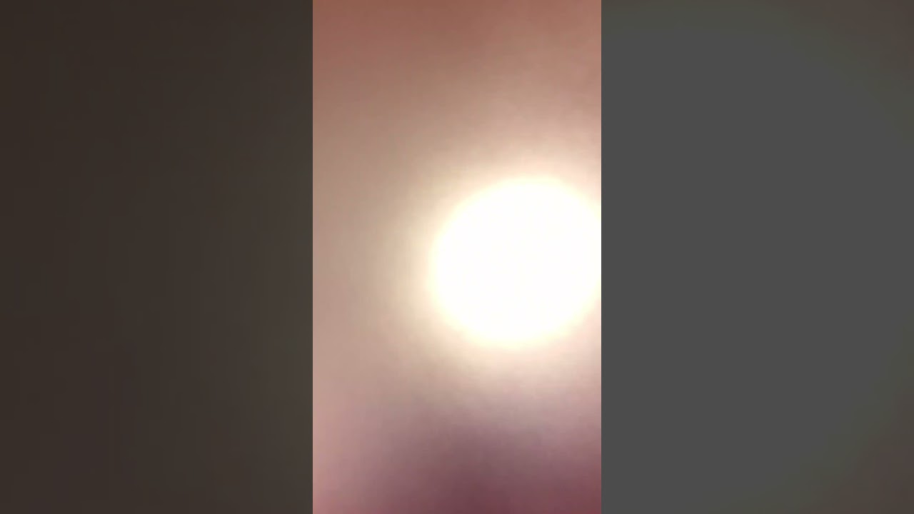 12 בפברואר 2026