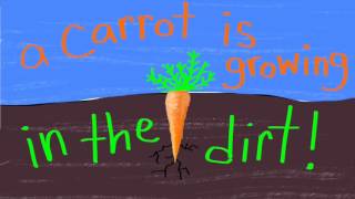 Life of a Carrot